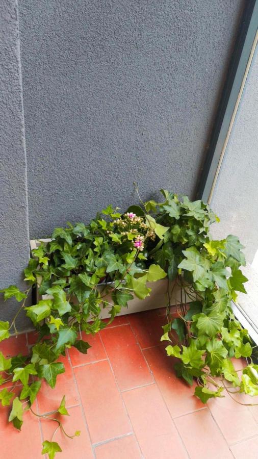 Appartamento So Fine Petruzzelli Flat Bari Esterno foto